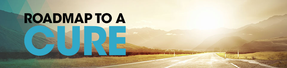 Roadmap to a Cure Banner No Text