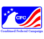 E-Newsletter Blog CFC